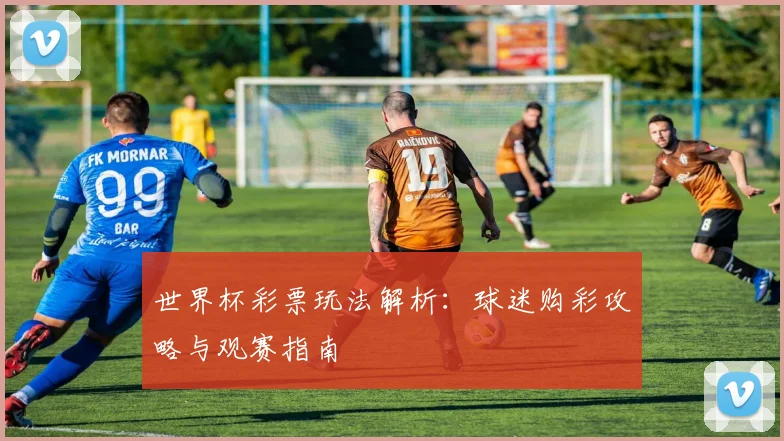 世界杯彩票玩法解析：球迷购彩攻略与观赛指南
